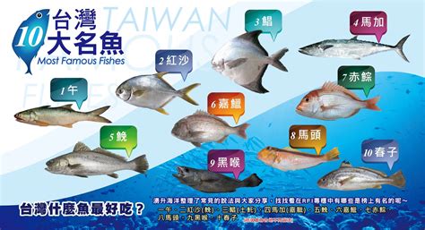 好魚排名|台灣好魚10大排行榜！鯧魚第三、紅沙第二，冠軍竟然。